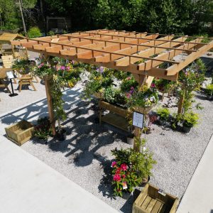 Western Red Cedar 4.5m Pergola