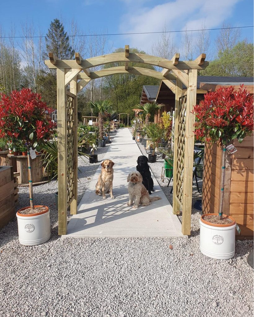 The whole team waiting to meet & greet our visitors (and show them to the dog treats!)