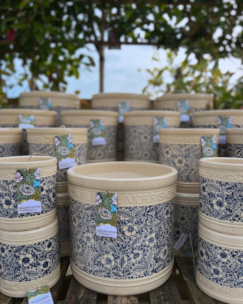 William Morris Collection pots from Woodlodge at Carr Bank Garden Centre
