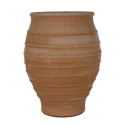 Fraska from The Terracotta Pot Company at Carr Bank Garden Centre