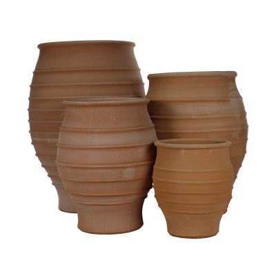 Fraska from The Terracotta Pot Company at Carr Bank Garden Centre - group