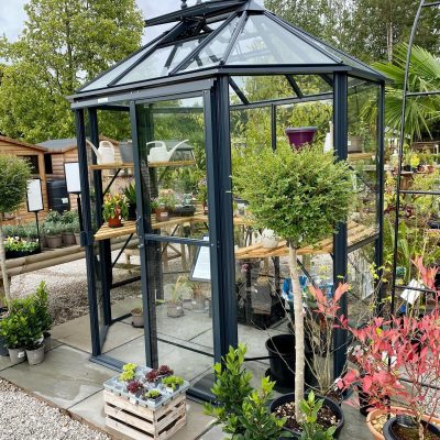 Robinsons Renaissance Octagonal Greenhouse 7 x 5 Ex Display Sale